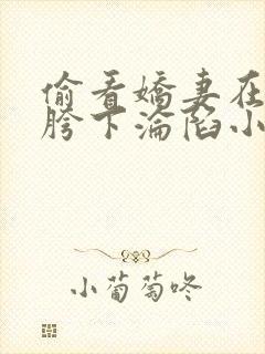 偷看娇妻在别人胯下沦陷小说