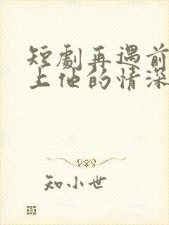 短剧再遇前任恋上他的情深