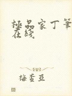 极品家丁笔趣阁在线封面