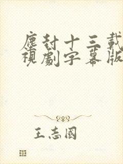尘封十三载 电视剧字幕版