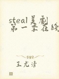 steal美剧第一季在线观看免费
