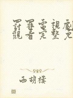 罚罪电视剧在线观看完整免费