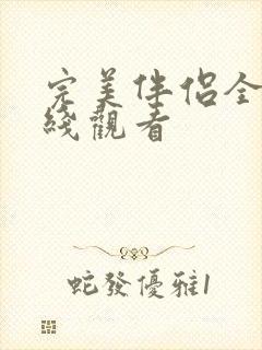 完美伴侣全集在线观看