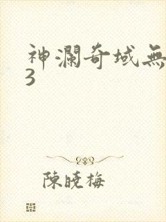 神澜奇域无双珠3