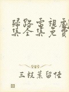 归路电视剧30集全集免费观看