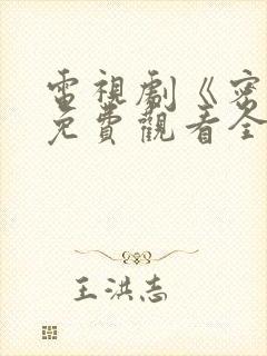 电视剧《密战》免费观看全集