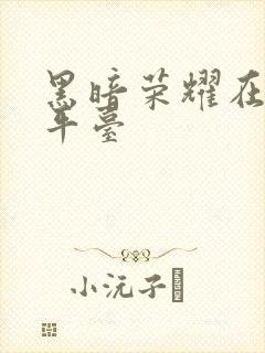 黑暗荣耀在哪个平台封面