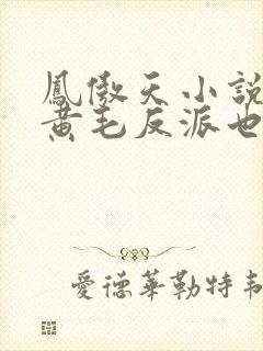凤傲天小说里的黄毛反派也想幸福小说免费封面