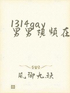 1314gay男男视频在线观看