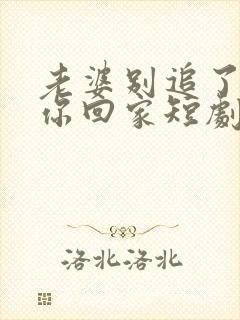 老婆别追了我跟你回家短剧免费观看全集封面