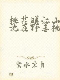 桃花映江山原著沈在野姜桃花全文免费阅读