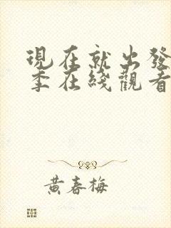 现在就出发第3季在线观看免费完整版