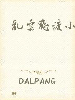 乱云飞渡小说