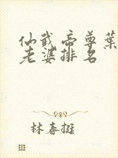 仙武帝尊叶辰的老婆排名