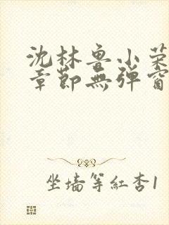 沈林鲁小荣最新章节无弹窗笔趣阁