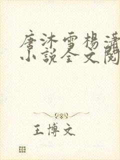 唐沐雪杨潇免费小说全文阅读封面