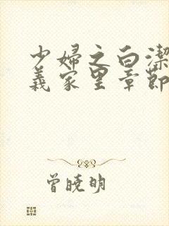 少妇之白洁去高义家里章节