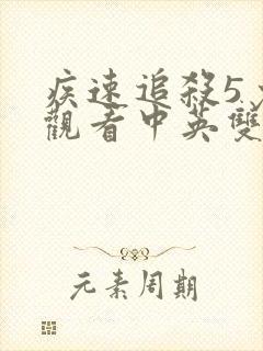 疾速追杀5免费观看中英双字版
