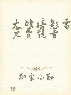 大明暗影电视剧免费观看