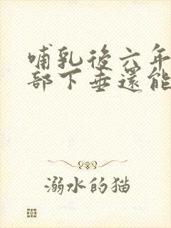 哺乳后六年年胸部下垂还能丰胸吗