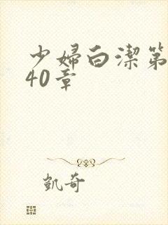 少妇白洁第1一40章封面