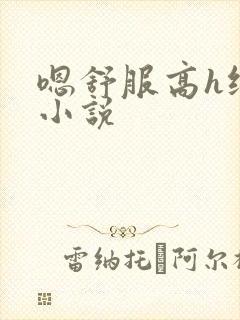嗯舒服高h纯肉小说