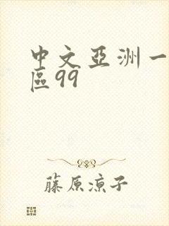 中文亚洲一区二区99封面
