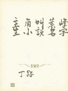 主角叫叶峰的重生小说名字叫什么