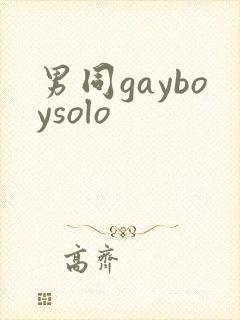男同gayboysolo封面