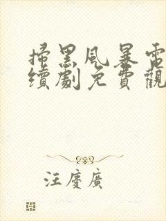 扫黑风暴电视连续剧免费观看全集