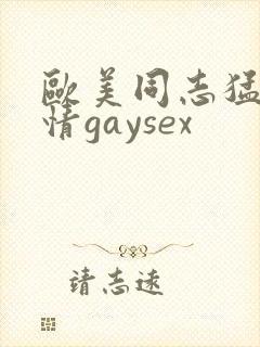 欧美同志猛男激情gaysex封面