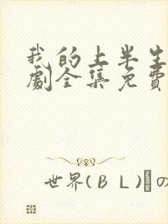 我的上半生电视剧全集免费观看封面
