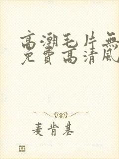 高潮毛片无遮挡免费高清风月直播