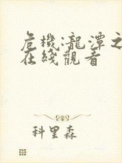 危机:龙潭之战在线观看封面