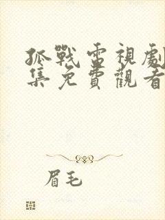 孤战电视剧40集免费观看高清版