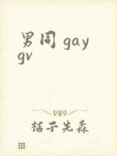 男同 gay gv