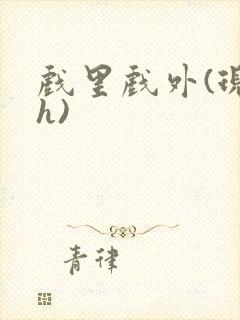 戏里戏外(现场h)