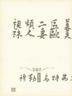视频二区美腿丝袜人妻欧美