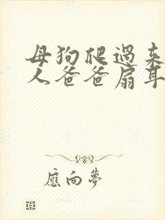 母狗爬过来叫主人爸爸扇耳光小说封面