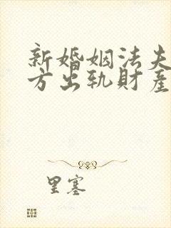 新婚姻法夫妻一方出轨财产怎么分割封面
