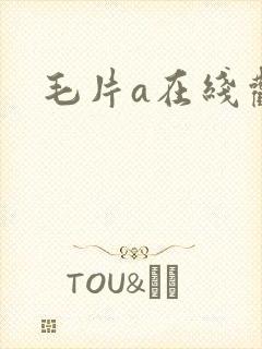 毛片a在线观看