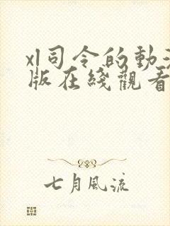 xl司令的动漫版在线观看免费