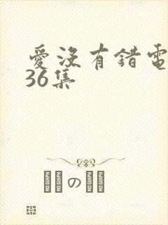 爱没有错电视剧36集