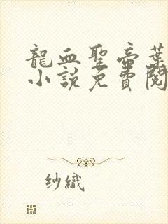 龙血圣帝叶无双小说免费阅读