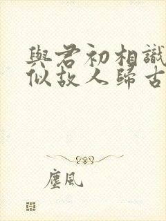 与君初相识,恰似故人归古诗