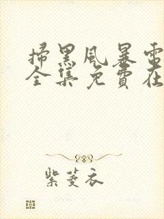 扫黑风暴电视剧全集免费在线观看