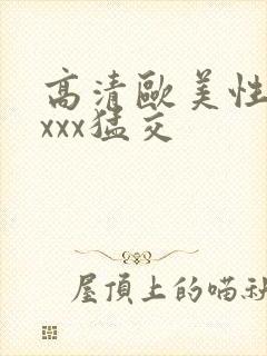 高清欧美性猛交xxx猛交