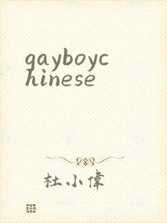 gayboychinese