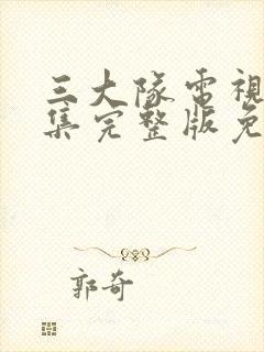 三大队电视剧全集完整版免费封面