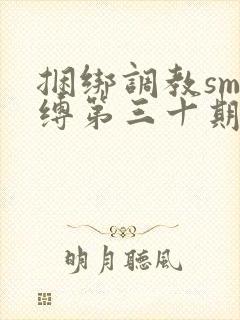 捆绑调教sm束缚第三十期